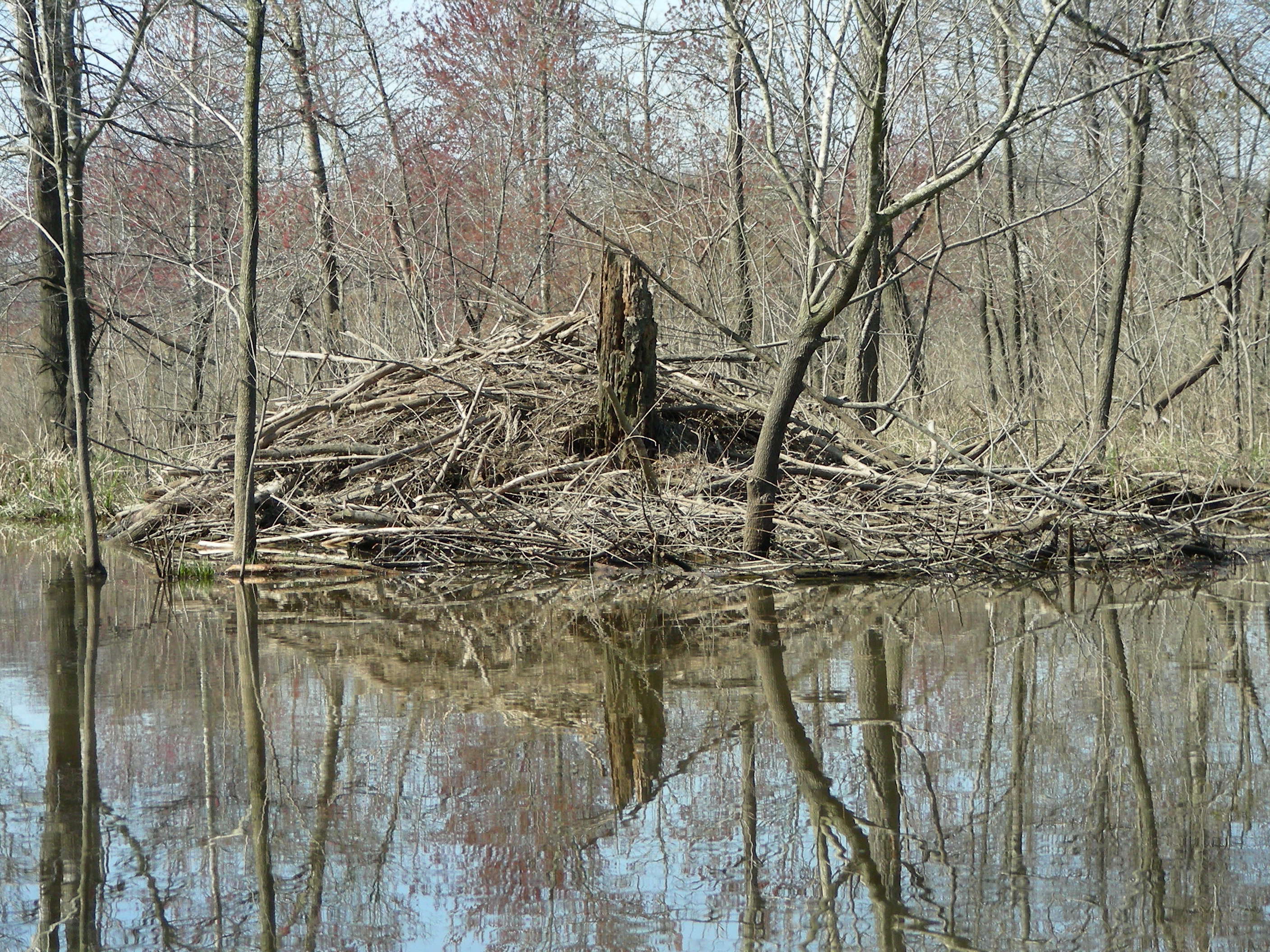 ./2010/Kayaking Falls Lake/DSCN7041.JPG